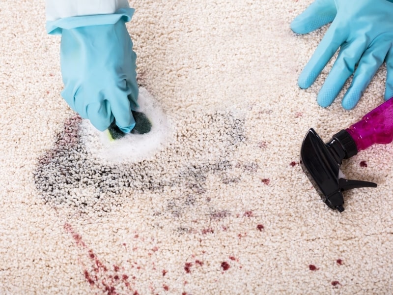 Carpet Cleaning Cambridge