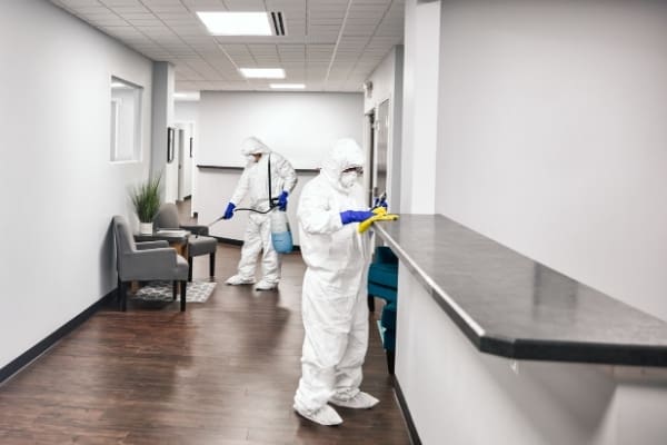 Professional housekeepers deep cleaning service working at office. Deep Cleaning services in Cambridge